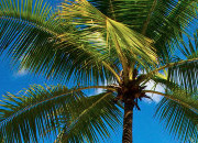 ddos在线压力测试平台